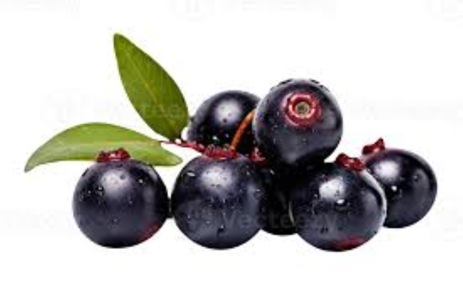FRESH ACAI BERRY